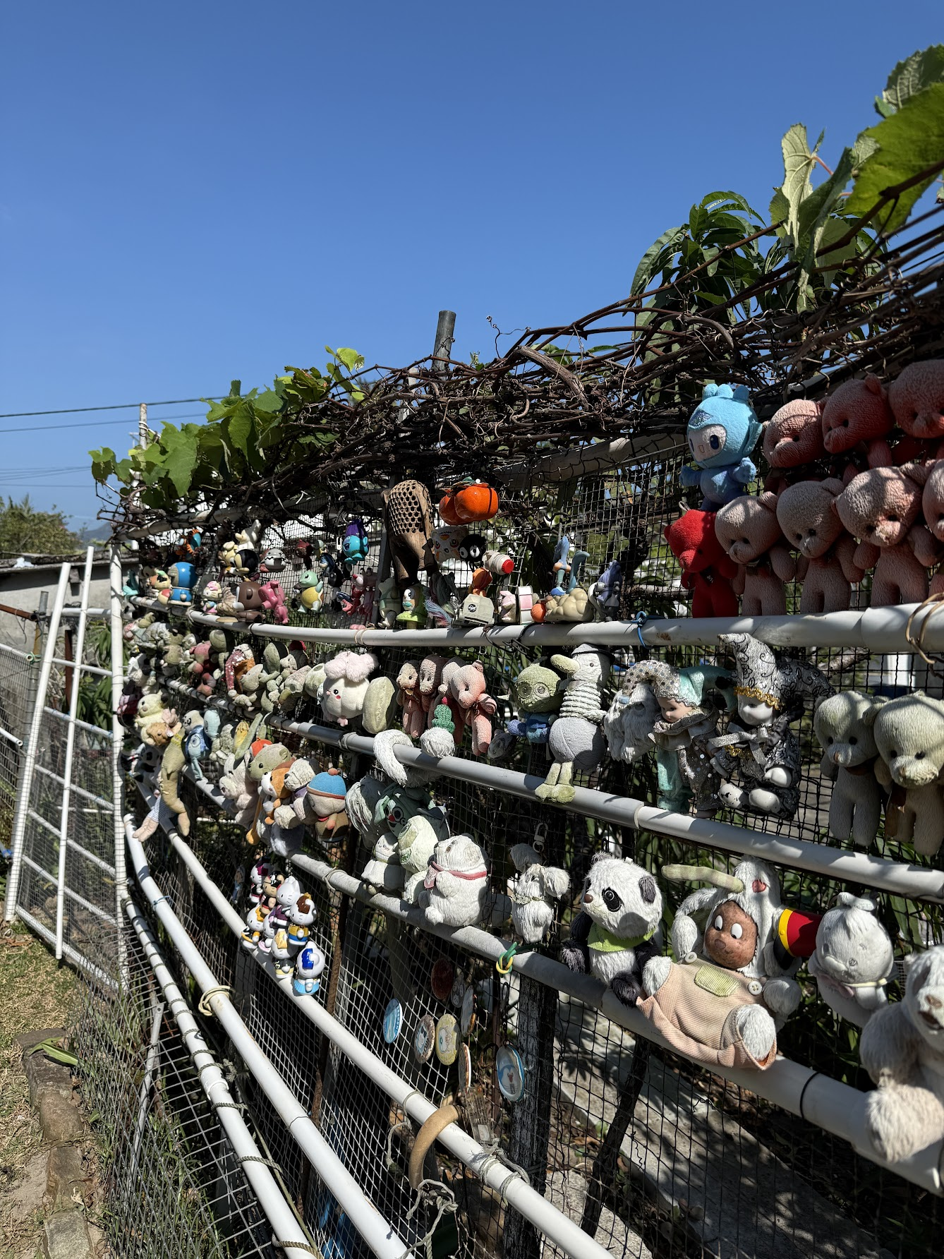 西湾村看到的可爱挂件